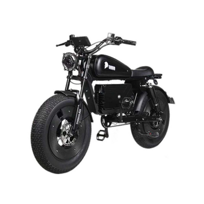 고성능 SMD 바이크 V7 뉴크 전기 자전거 자토바이