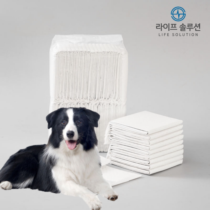 라이프솔루션 애완동물 강아지 배변패드 반려동물 대형 무향 60 x 60cm, 1개, 40개입 라이프솔루션 애완동물 강아지 배변패드 반려동물 대형 무향 60 x 60cm, 1개, 40개입
