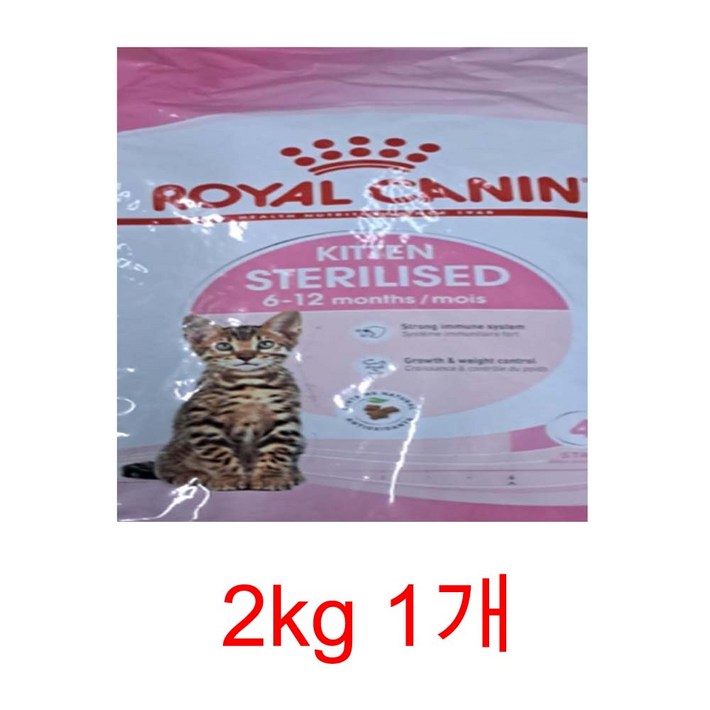 로얄캐닌 캣 키튼 스테럴라이즈드 2kg 고양이사료