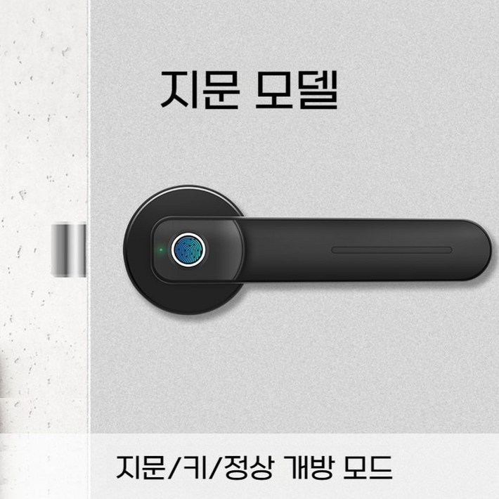 방문 도어락 인식 생체 보호 사생활 지문 손잡이 스마트 안전 문고리 비밀번호 블루투스