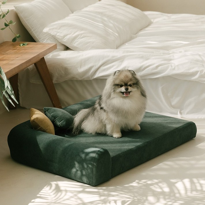 펫더팬 강아지 고양이 침대 쇼파, 에메랄드 그린, 1개