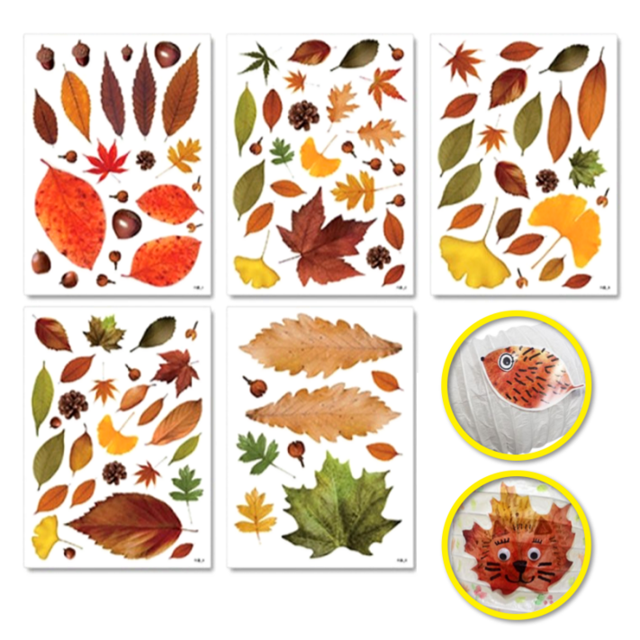5장 가을 단풍 나뭇잎 스티커 만들기 방과후 재료 초등 낙엽 환경, 5세트, free
