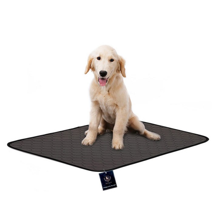 딩동펫 반려동물 빨아쓰는 소변매트