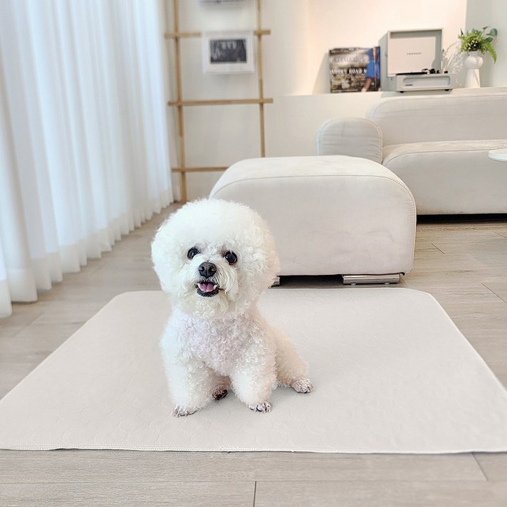 강아지 세탁 재사용 배변 매트 빨아쓰는 냄새 없는 배변 패드 화장실 깔끔한 매트 오렌지원