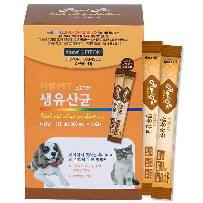 리얼Pet 반려동물 영양제, 장건강유산균, 1개