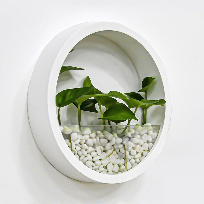 21세기트랜드 자이라 벽걸이화분 인테리어 다육식물 수경재배 걸이형 화분