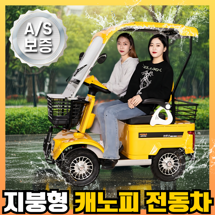 치앤원 지붕 있는 노인 전동차 캐노피 어르신 전기차 전동 전기 스쿠터 대용량 배터리