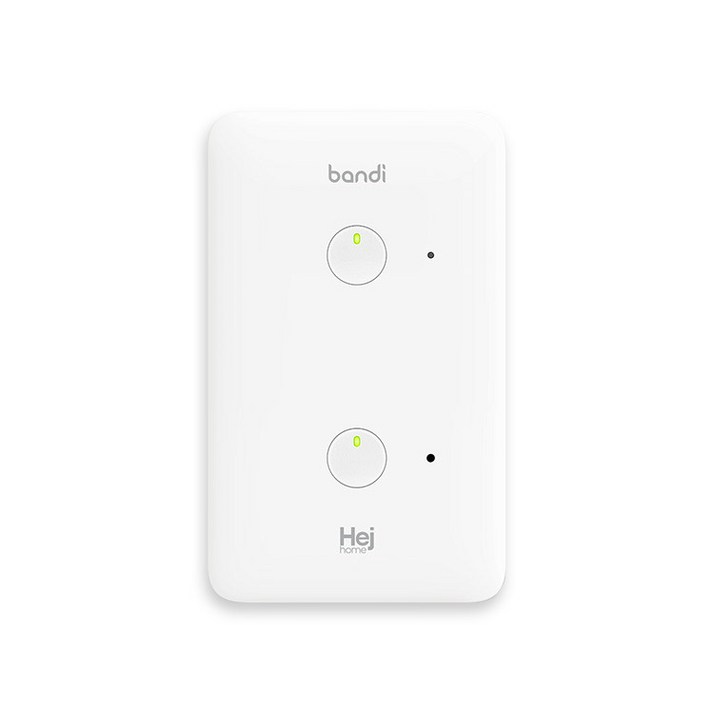 헤이홈 IoT 스마트 조명 스위치 2선식 2구