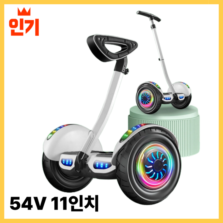 [아키타] 3세대 전동휠 나인봇 36V 54V 전용앱 일반휠 호버 보드 자이로스콥  투휠