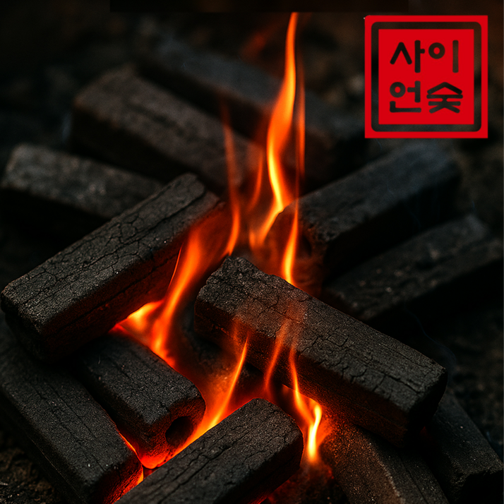 사이언숯 지속력좋은 프리미엄 대나무숯 절탄, 1개, 9kg