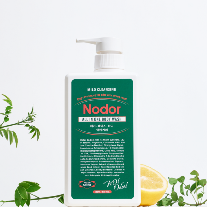 [본사공식판매] 노도르 올인원 바디워시 460ml, 460ml, 6개