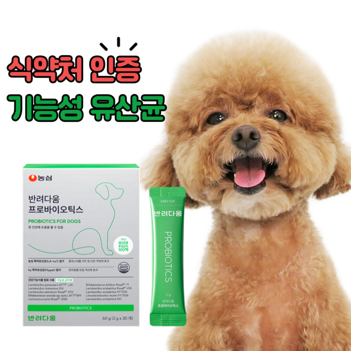 농심 반려다움 강아지 유산균 영양제 애견 펫 프로바이오틱스 30포, 30회분, 장건강유산균, 1개 농심 반려다움 강아지 유산균 영양제 애견 펫 프로바이오틱스 30포, 30회분, 장건강유산균, 1개