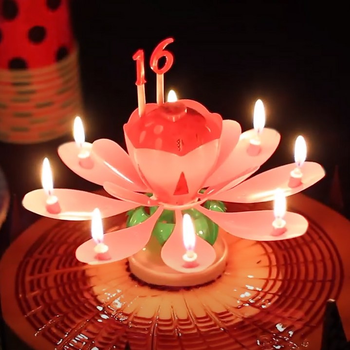 스토리빙 생일 축하 초 연꽃 멜로디 선물 파티 용품  숫자 토퍼 19p 세트