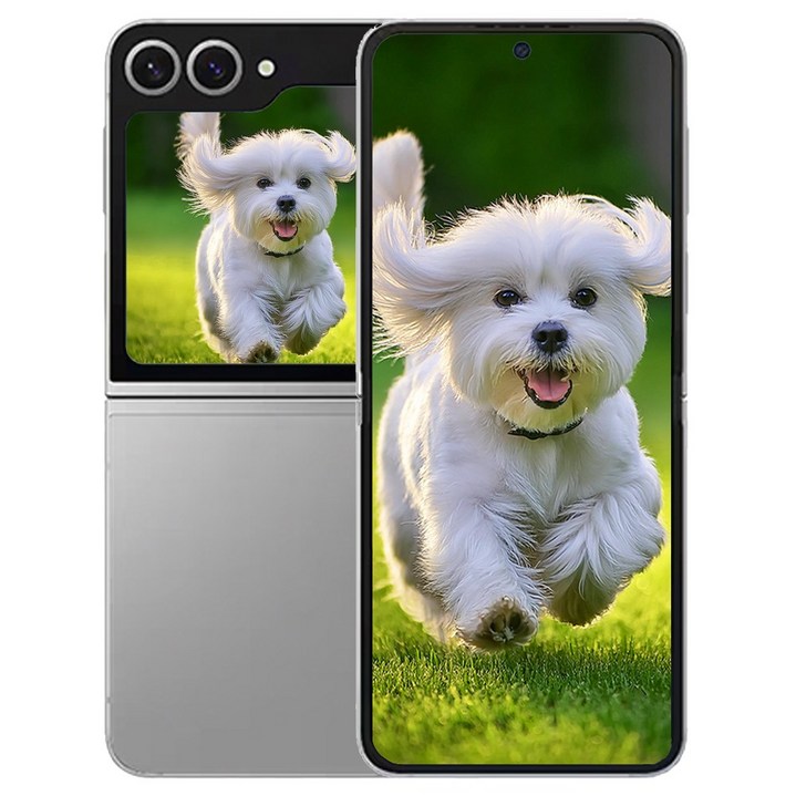 삼성전자 갤럭시 Z플립6 256GB