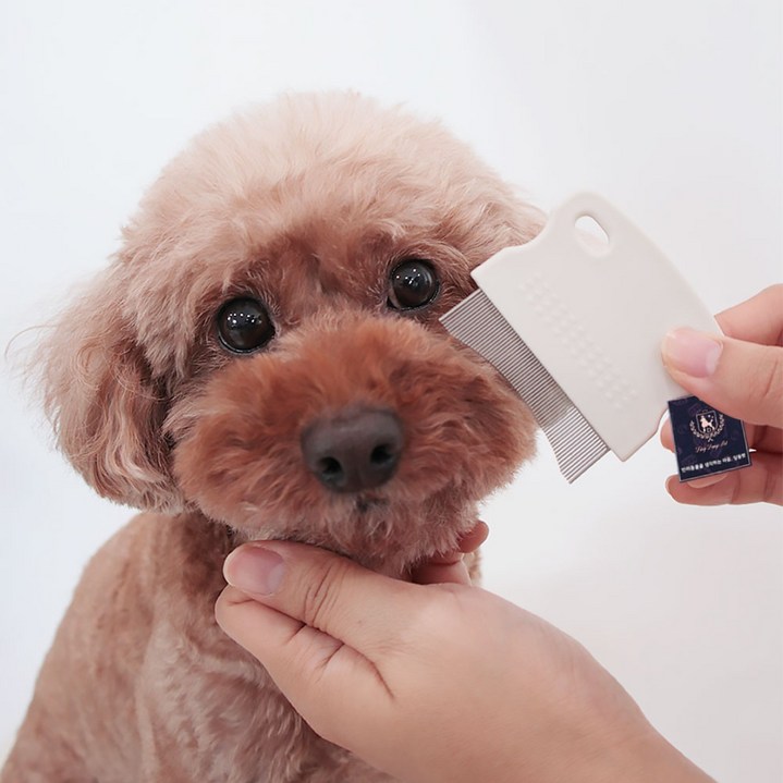 딩동펫 반려동물 페이셜 라운딩 눈꼽빗 63 x 5 x 58 mm