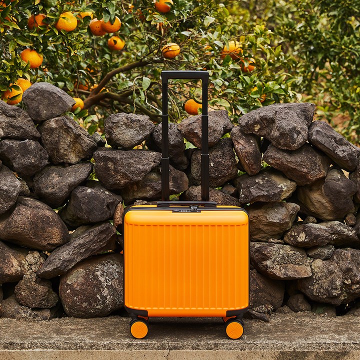 페스페스 모던하우스 미니02 캐리어