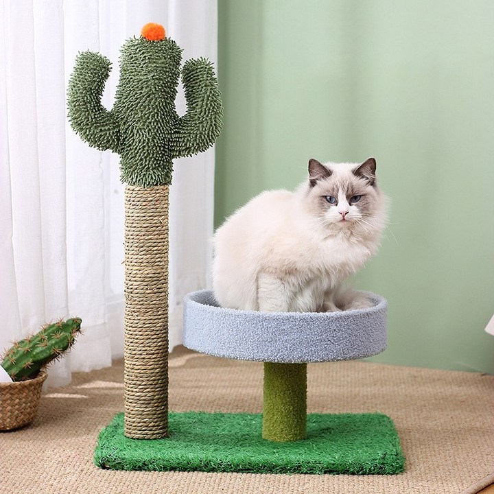 고양이놀이터 PETCA 2단 선인장 고양이 기둥형 스크래쳐 고양이장난감 캣타워, 단일상품