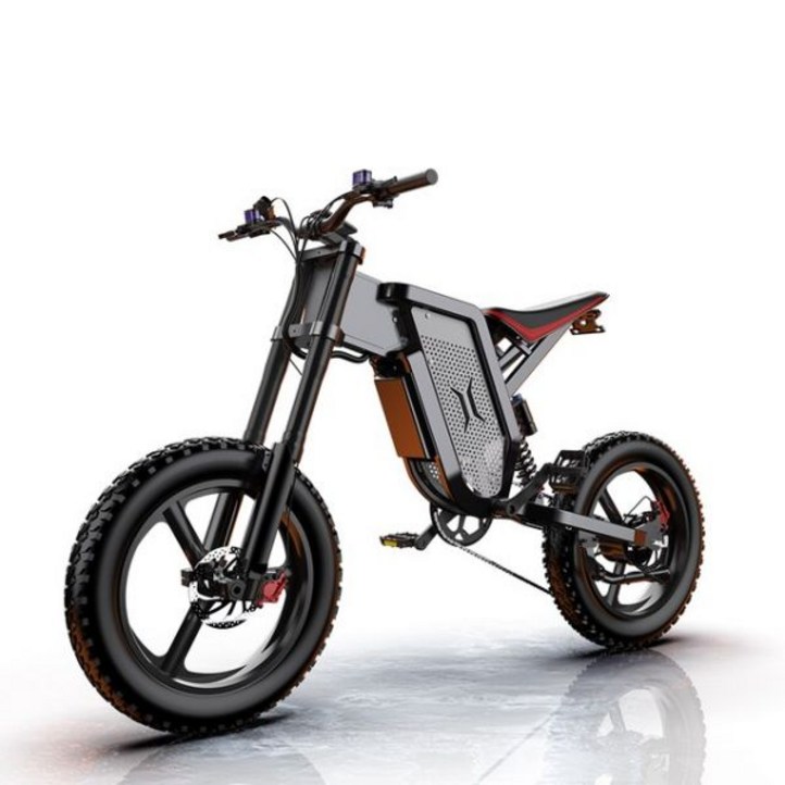 EKX X21 전기 자전거 오프로드 오토바이 산악 2000W 48V35AH 배터리 20 인치 지방 성인용 EBike 전기자전거 팻 바이크