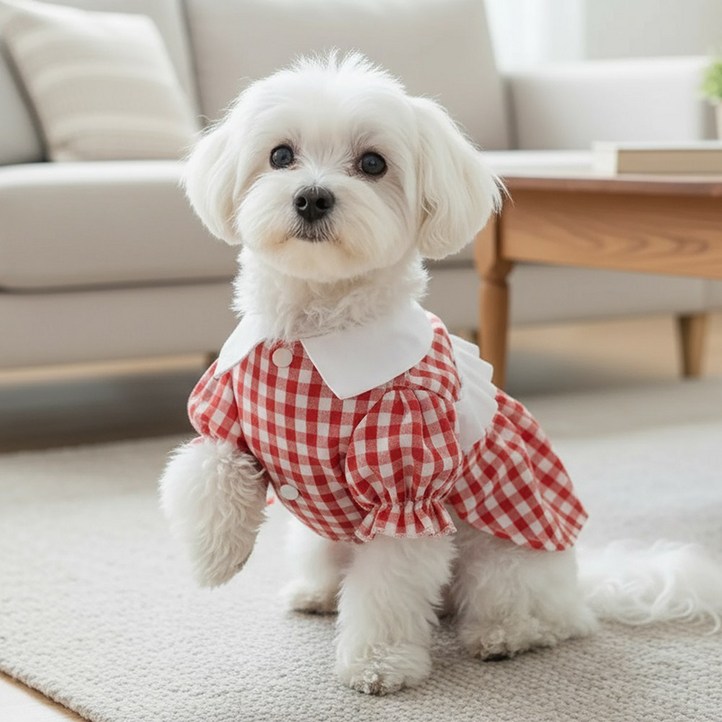 쁘띠도그 체크카라원피스 봄가을 반려동물 강아지옷 체크 카라 원피스 XSXL