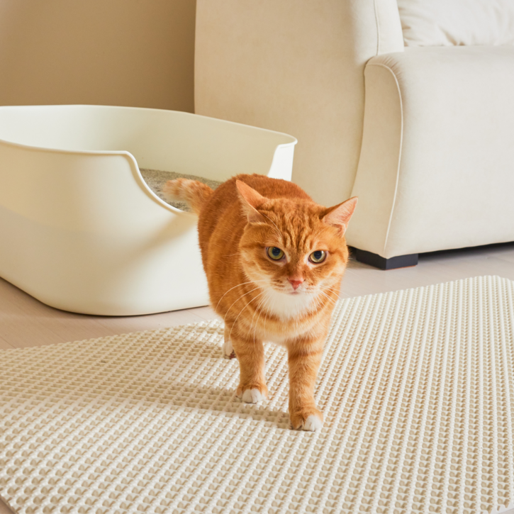 3651 이지클린 고양이 화장실 모래매트 특대형 1