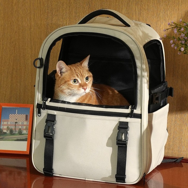 인더코코 강아지 고양이 코코백 백팩, 1개, 아이보리 - 쇼핑뉴스