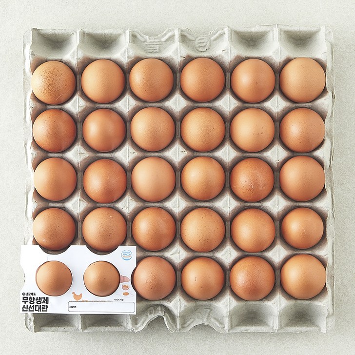 로켓프레시 무항생제 신선 대란 1.56kg