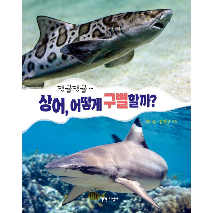 댕글댕글상어, 어떻게 구별할까, 지성사, 최윤, 김재구, 해당없음