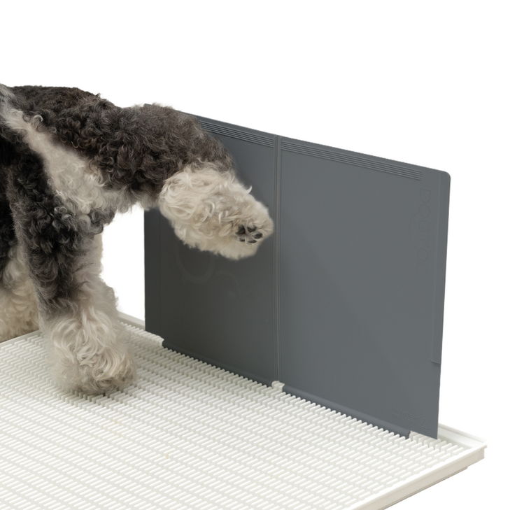 독톡 수컷 강아지 실내 마킹 수비대 가림 배변판