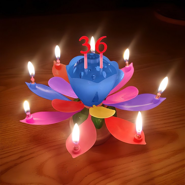 스토리빙 생일 축하 초 연꽃 멜로디 선물 파티 용품  숫자 토퍼 19p 세트