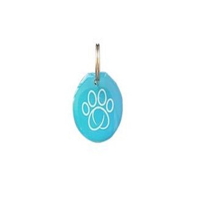 스마트 급식 방지 다중 폣 집 인식 급식기 전용그릇