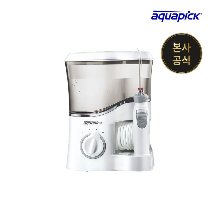 아쿠아픽 가정용 구강세정기 AQ300, 화이트그레이, AQ300