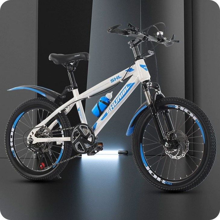 22인치자전거 주니어 초등 저학년 케이투바이크