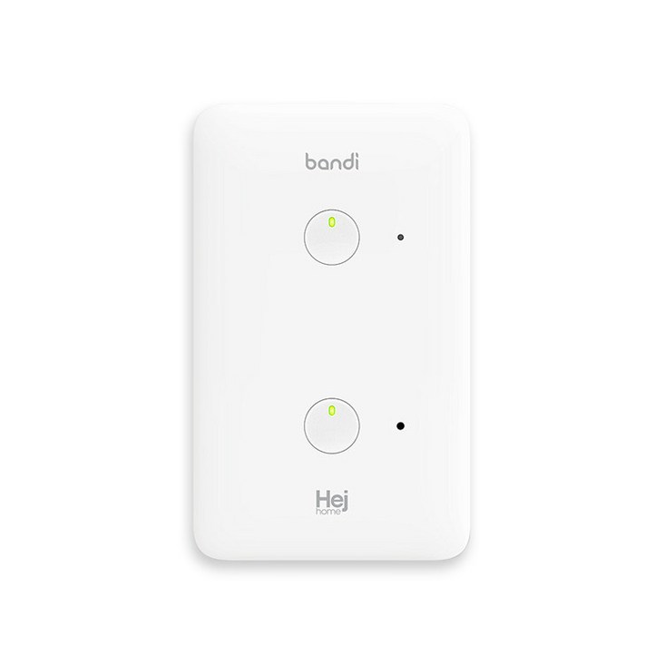 헤이홈 IoT 스마트 조명 스위치 2선식 2구