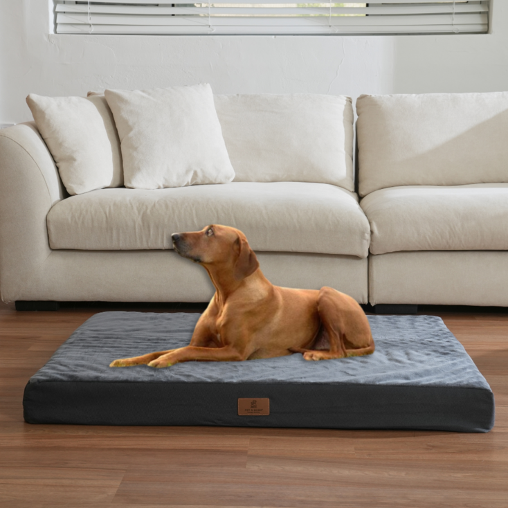 홀릭하임 대형견 에그폼 커버분리형 사각 방석 01 L  2XL, 진그레이, 1개