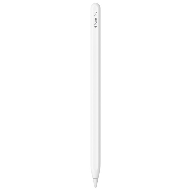 Apple 정품 애플펜슬 프로 Apple 정품 애플펜슬 프로