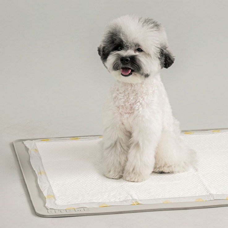 바잇미 강아지 논슬립 실리콘 배변매트 표준형, 그레이, 1개 - 쇼핑앤샵