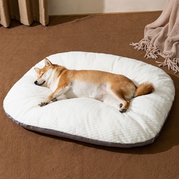 이지바이 강아지 방석 대형 중형 소형 커버분리형 쿠션 꿀잠 무중력, 단일 색상