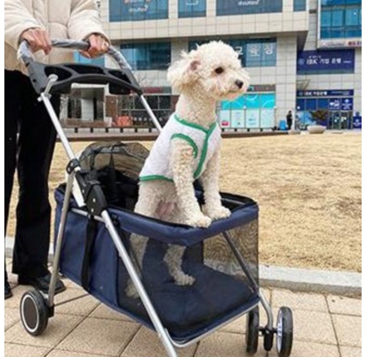 반려사이 저상형 강아지 유모차, 블루