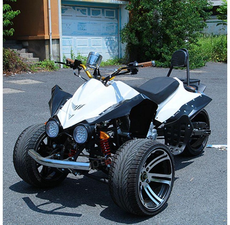 역삼륜 오토바이 전동차 스쿠터 바이크 농업용 3발